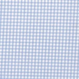 Blue Gingham Oil Cloth