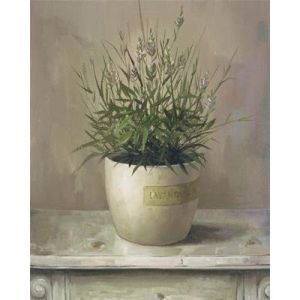 Lavender Pot Canvas