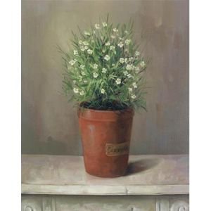 Camomile Pot Canvas