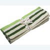 Set of 2 Green Stripe Placemats